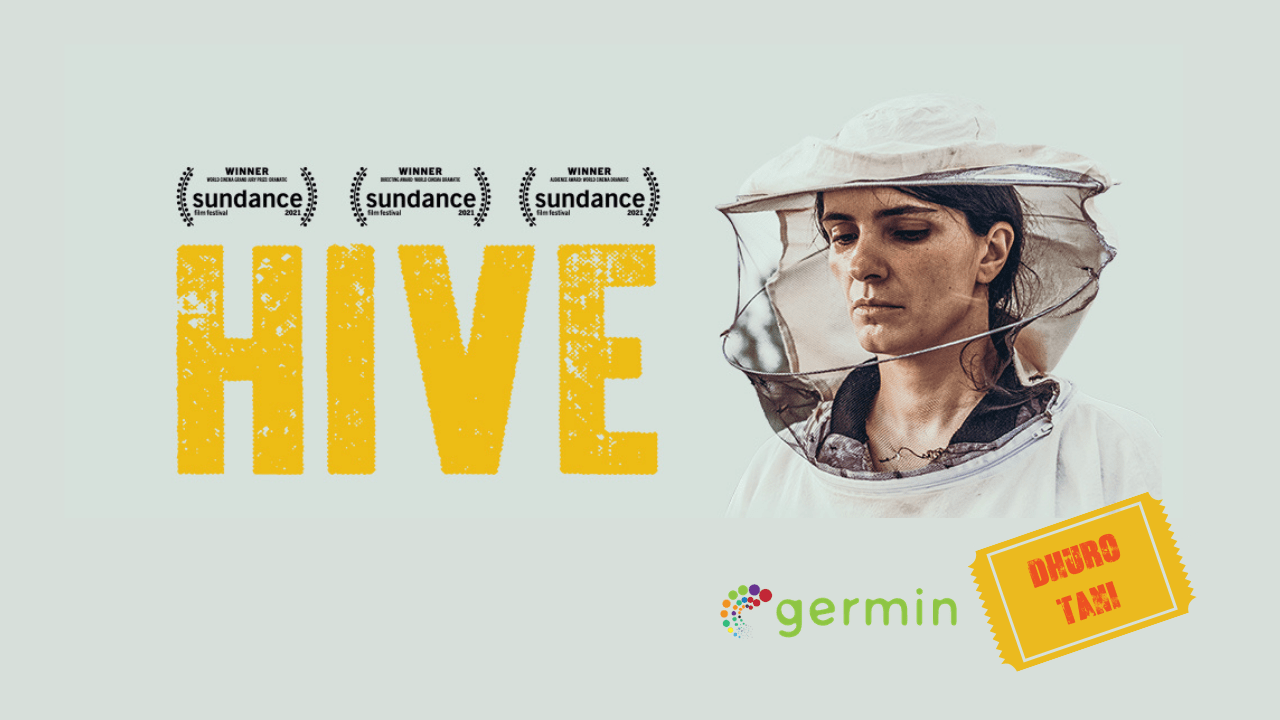 A Recap Of The Discussion With The Hive Team Germin